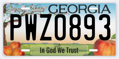 GA license plate PWZ0893