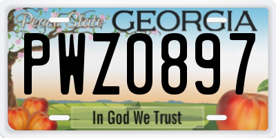 GA license plate PWZ0897