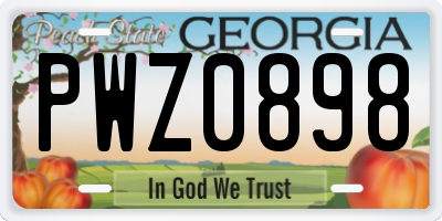 GA license plate PWZ0898