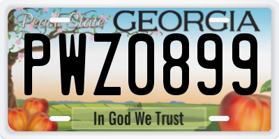 GA license plate PWZ0899