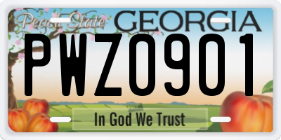 GA license plate PWZ0901