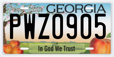 GA license plate PWZ0905