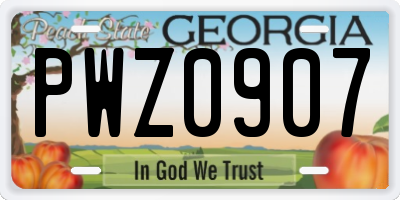 GA license plate PWZ0907