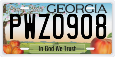 GA license plate PWZ0908