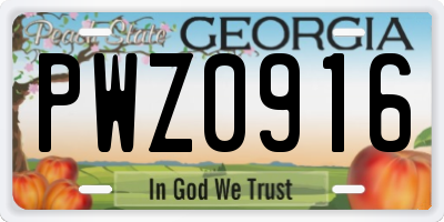 GA license plate PWZ0916