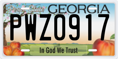 GA license plate PWZ0917
