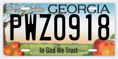GA license plate PWZ0918