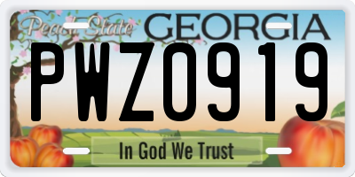 GA license plate PWZ0919