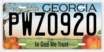 GA license plate PWZ0920