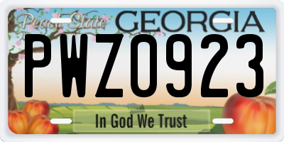 GA license plate PWZ0923