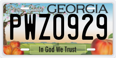 GA license plate PWZ0929