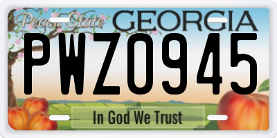 GA license plate PWZ0945