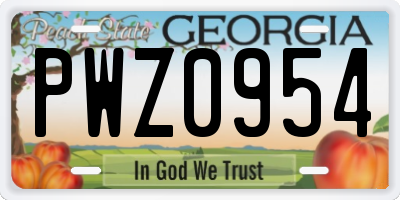 GA license plate PWZ0954