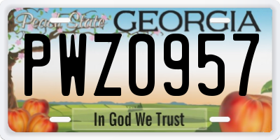 GA license plate PWZ0957