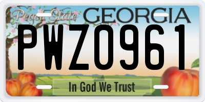 GA license plate PWZ0961