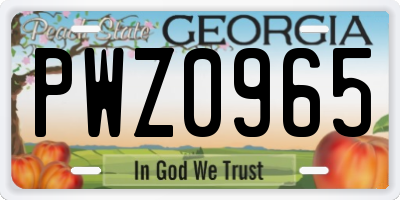 GA license plate PWZ0965