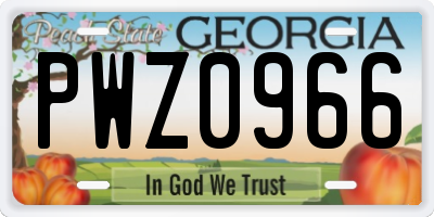 GA license plate PWZ0966
