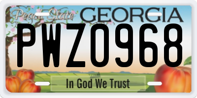 GA license plate PWZ0968