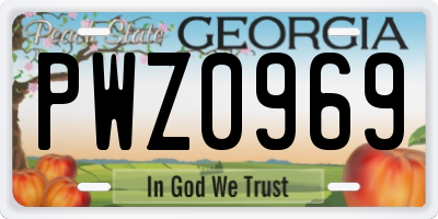 GA license plate PWZ0969