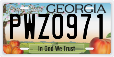 GA license plate PWZ0971