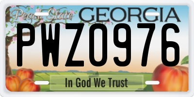 GA license plate PWZ0976