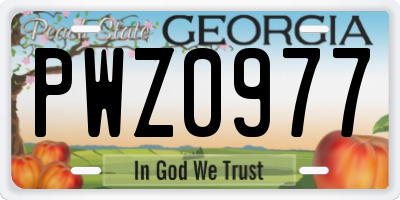 GA license plate PWZ0977