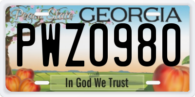 GA license plate PWZ0980