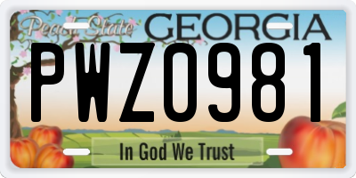 GA license plate PWZ0981