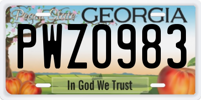 GA license plate PWZ0983
