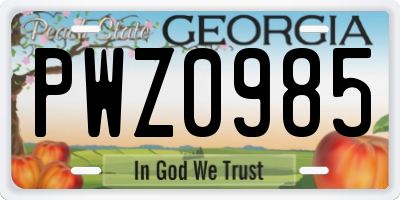GA license plate PWZ0985
