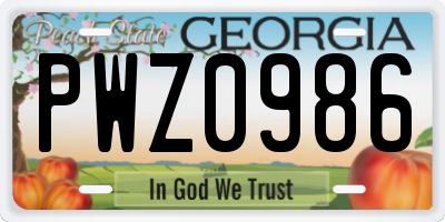 GA license plate PWZ0986