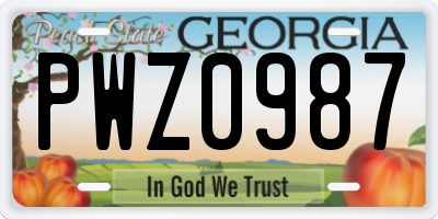 GA license plate PWZ0987