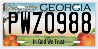 GA license plate PWZ0988