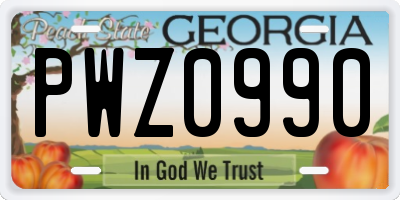 GA license plate PWZ0990
