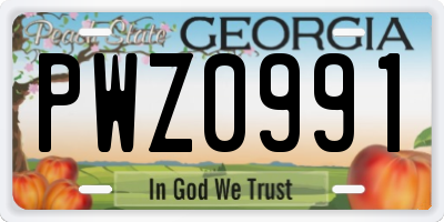 GA license plate PWZ0991