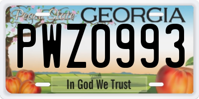 GA license plate PWZ0993