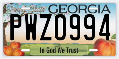 GA license plate PWZ0994
