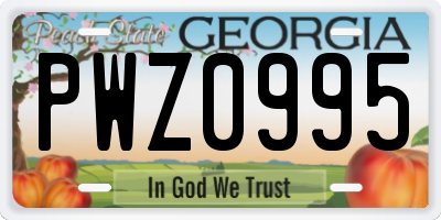 GA license plate PWZ0995