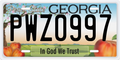 GA license plate PWZ0997