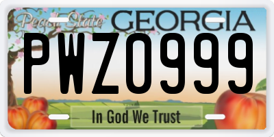GA license plate PWZ0999