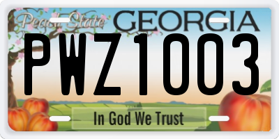 GA license plate PWZ1003
