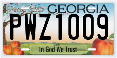 GA license plate PWZ1009