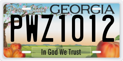 GA license plate PWZ1012