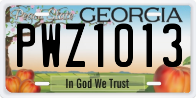 GA license plate PWZ1013