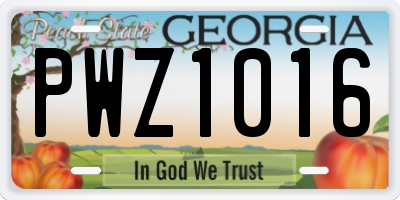 GA license plate PWZ1016