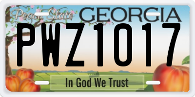 GA license plate PWZ1017