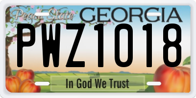 GA license plate PWZ1018