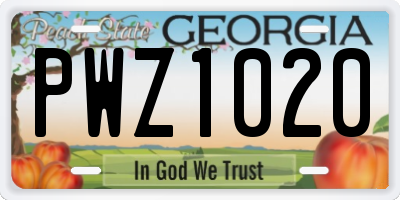 GA license plate PWZ1020