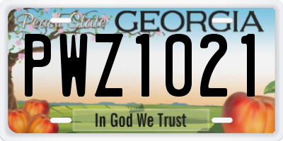 GA license plate PWZ1021