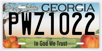 GA license plate PWZ1022